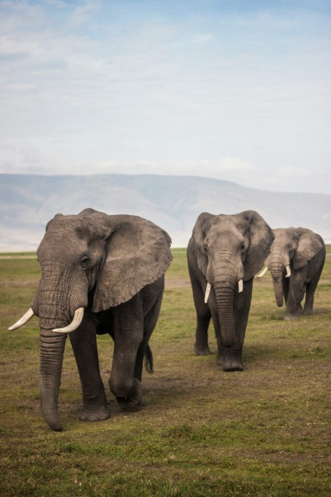 Tanzania