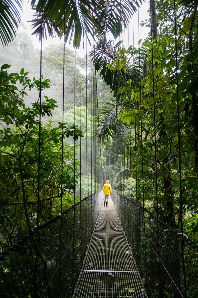 naturaleza costa rica