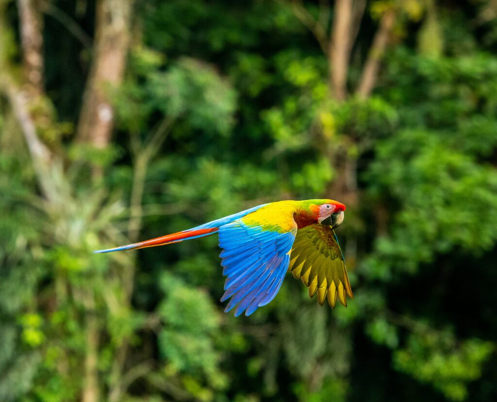naturaleza costa rica